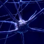 dia mundial del cerebro 2021 lema detener esclerosis multiple